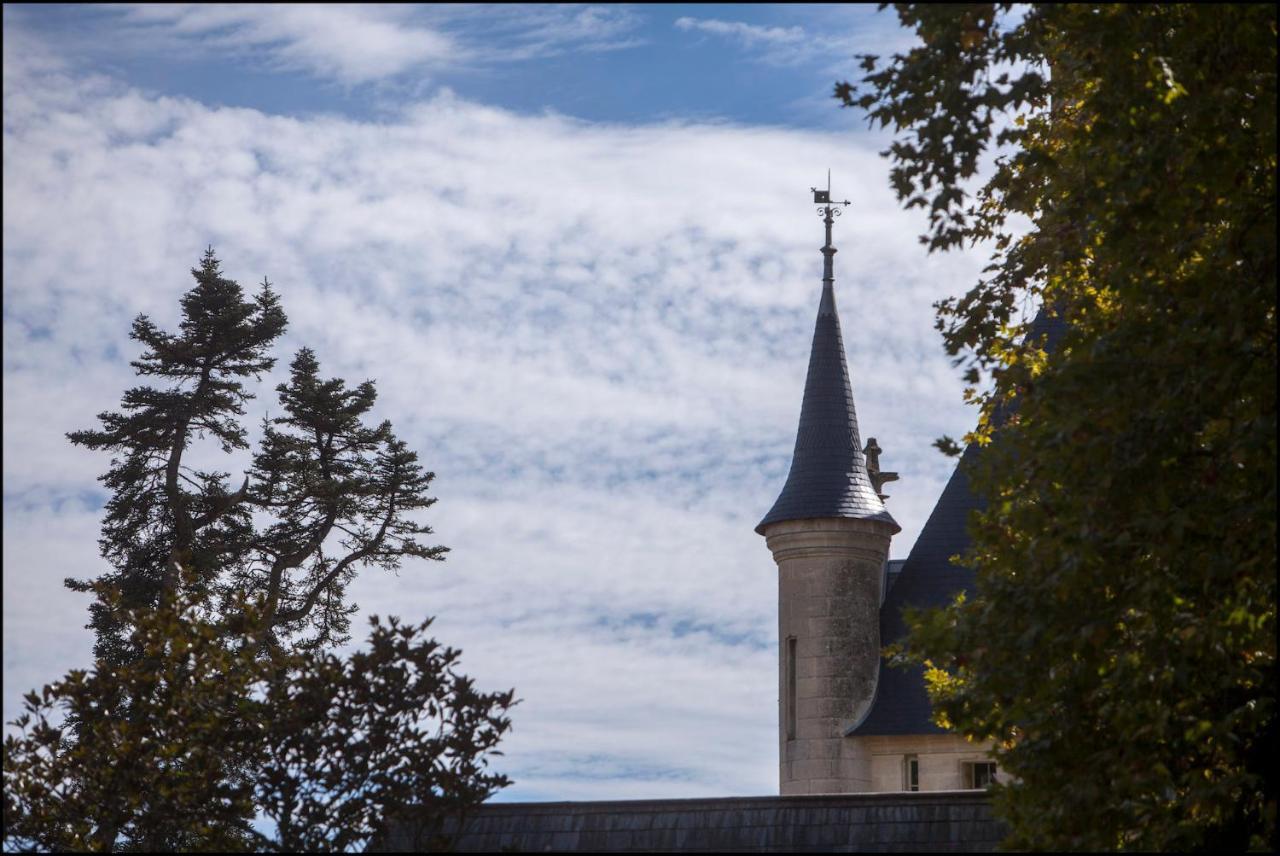 Chateau De Pitray, Pres De Saint Emilion Gardegan-et-Tourtirac 外观 照片
