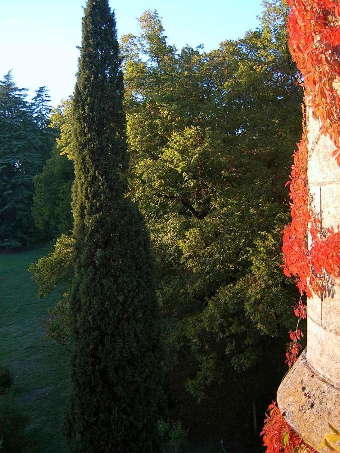 Chateau De Pitray, Pres De Saint Emilion Gardegan-et-Tourtirac 外观 照片