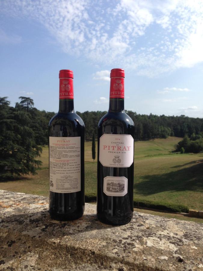 Chateau De Pitray, Pres De Saint Emilion Gardegan-et-Tourtirac 外观 照片
