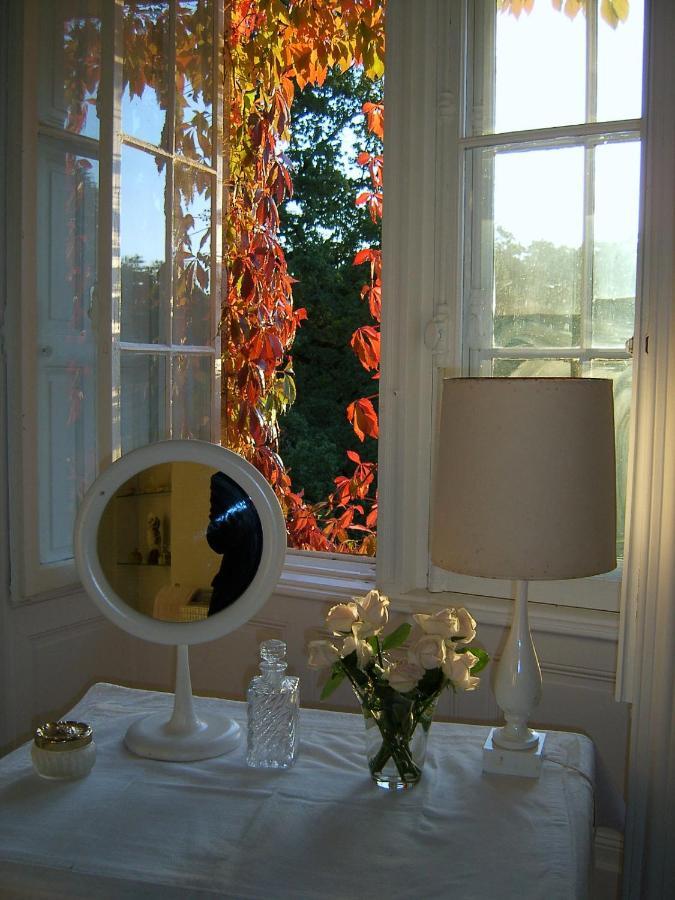 Chateau De Pitray, Pres De Saint Emilion Gardegan-et-Tourtirac 外观 照片